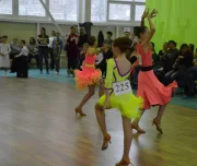 танцевально-спортивный клуб феникс изображение 2 на проекте lovefit.ru